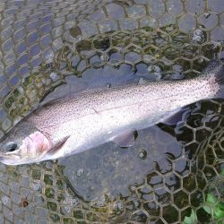 また高島の泉へ
